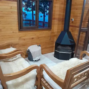 https://casa-dos-sonhos-bom-jardim-da-serra.santa-catarina-brasil.com